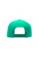 SNPBCK (Green)